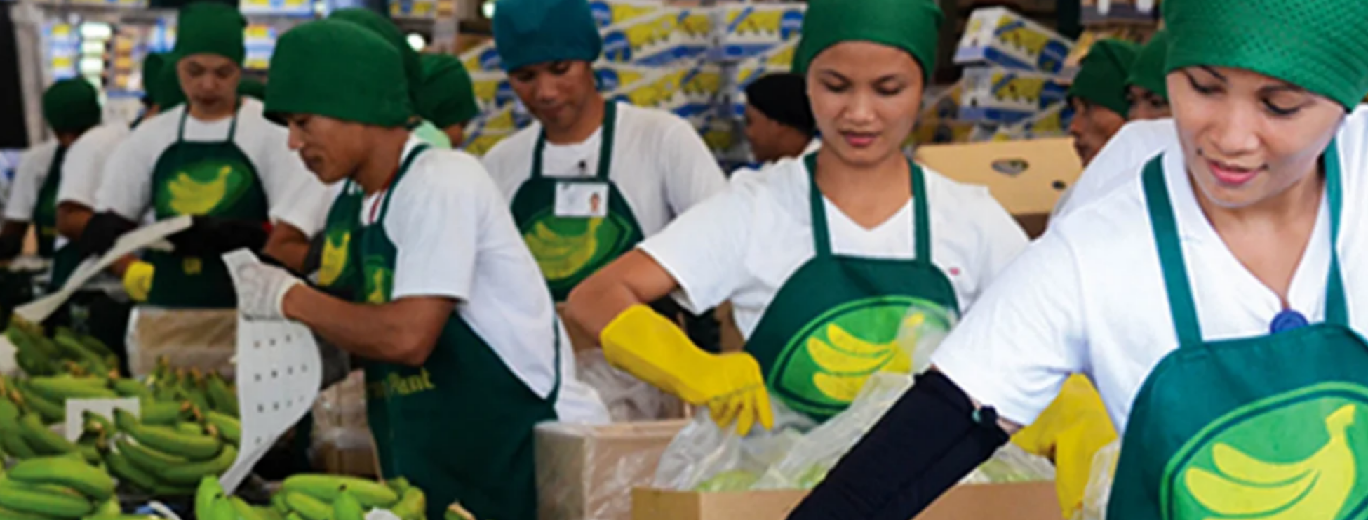 Anflo Banana Corporation